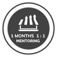 Professional 1:1 mentoring – 1 month