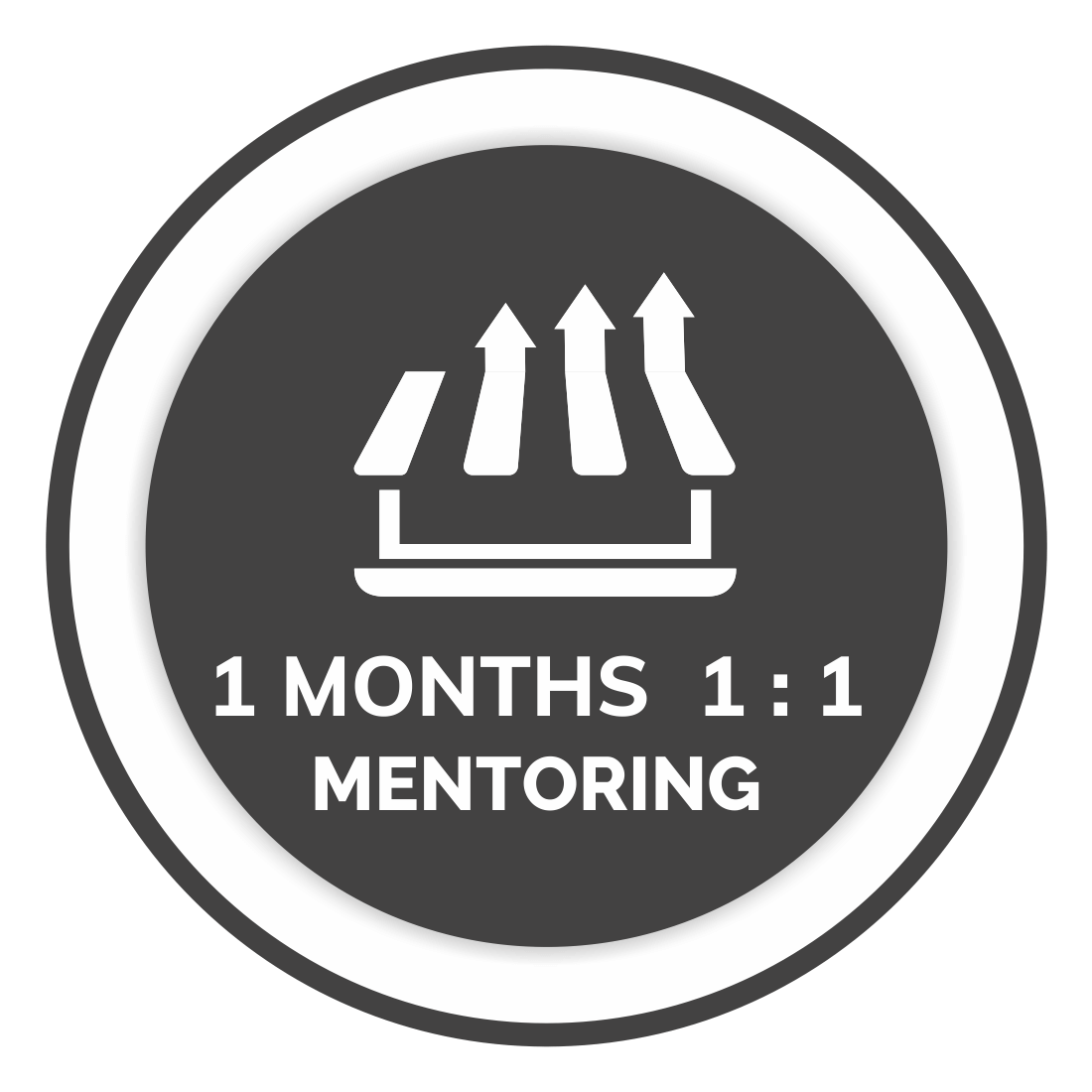 Professional 1:1 mentoring – 1 month