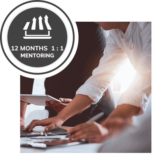 High Ticket Professional 1:1 mentoring – 12 month’s