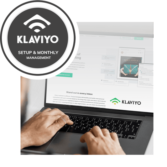 Klaviyo Setup and Monthly Management